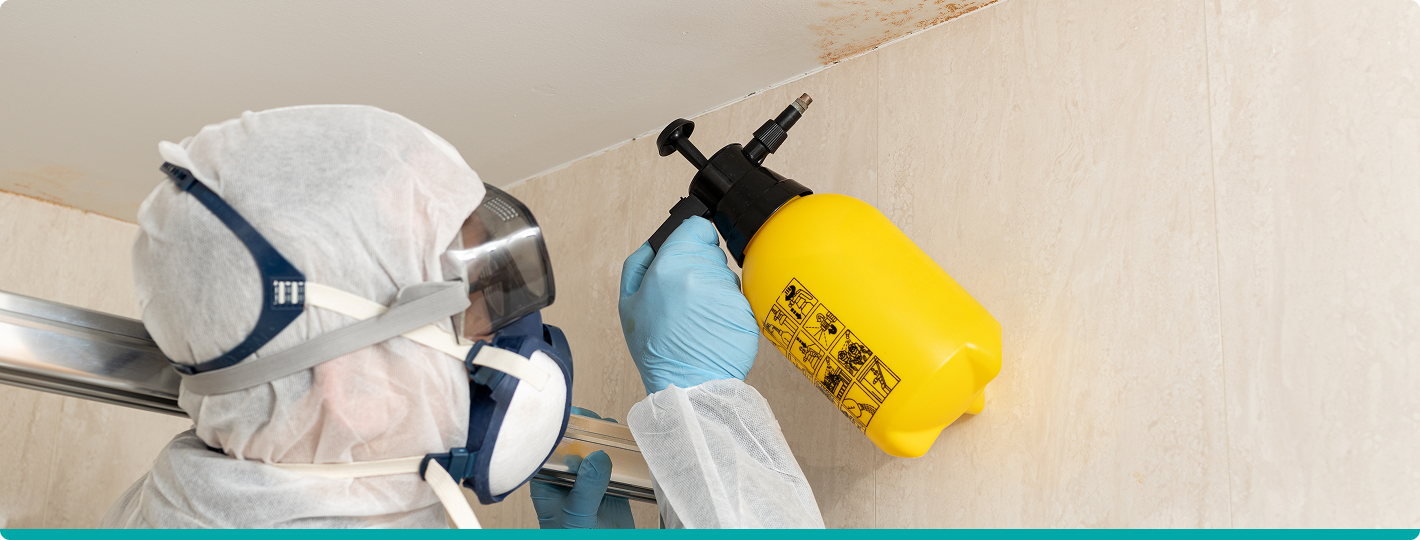 Damp & Mould