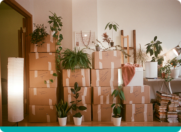 Contents Insurance