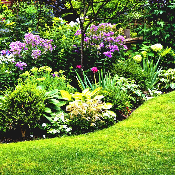 Join Castle Vale in Bloom!