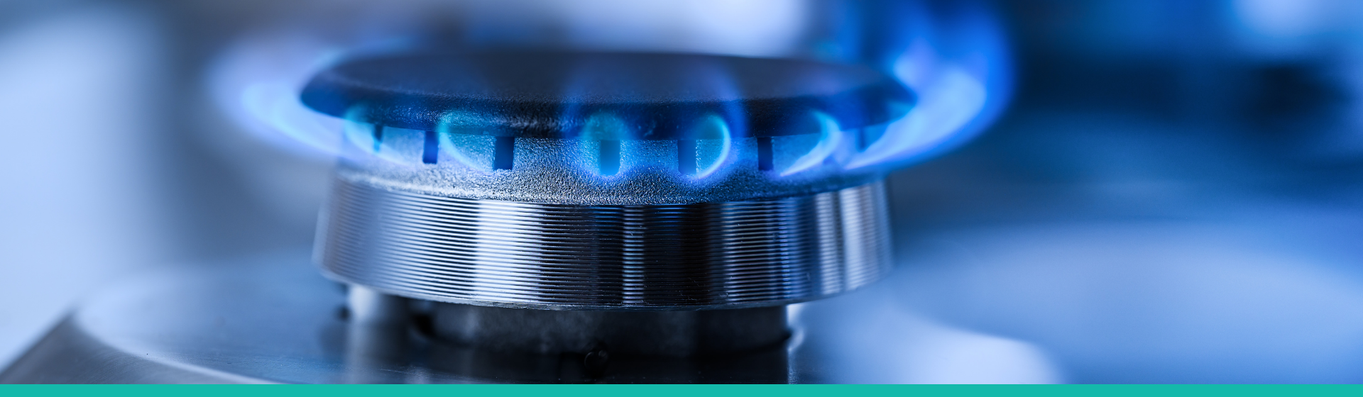Gas Safety